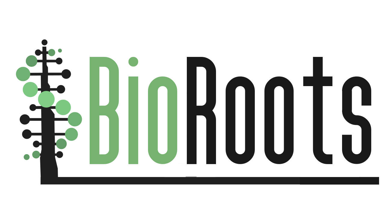 Horizontal logo of BioRoots